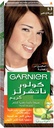 GARNIER LIGHT GOLDEN BROWN 5.3