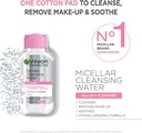 GARNIER MICELLAR CLEANSING WATER 100 ML