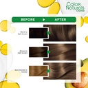 GARNIER TUBE DARK ASH BLONDE 6.1