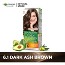 GARNIER TUBE DARK ASH BLONDE 6.1