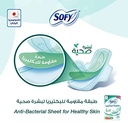 SOFY ANTI BACTERIAL HEALTHY SKIN 29 CM 3 X 52 PAD