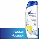 HEAD & SHOULDERS SHAMPOO CITRUS FRESH 400ML