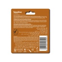 VASELINE COCOA BUTTER LIP CARE 4.8 G