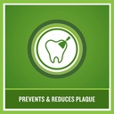 LISTERINE GREEN TEA MOUTH WASH 250 ML