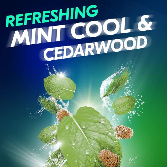 REXONA MINT COOL+CEDARWOOD MEN SPRAY 150 ML