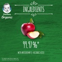 GERBER ORGANIC  APPLE 90 GM 