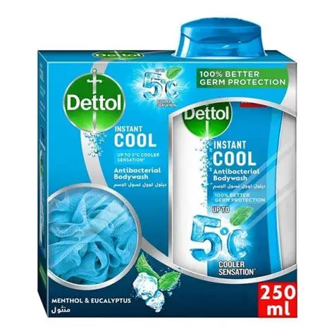 DETTOL SHOWER GEL COOL 250 ML + PUFF