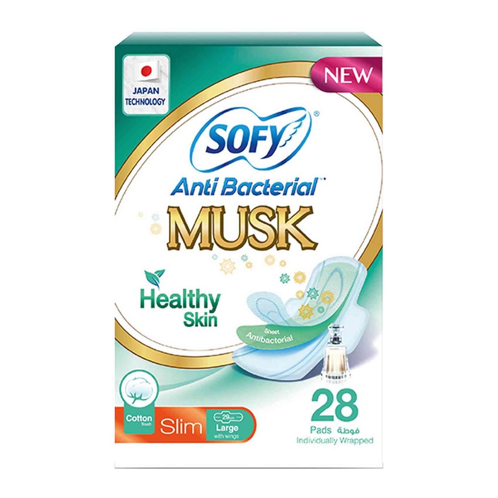 SOFY ANTI BACTERIAL HEALTHY SKIN MUSK 6 X 28 PAD 1 Pack