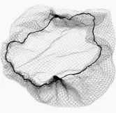 HAIR SYSTEM MESH SPECIAL TIPPING CAP