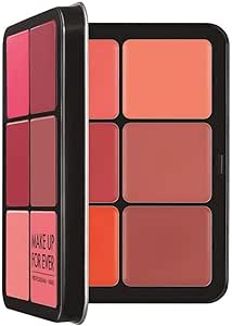 REALBAUTY MAKE UP COVER CREAM BLUSH PALETTE 24 G