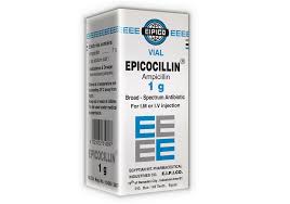 EPICOCILLIN VIAL 1G