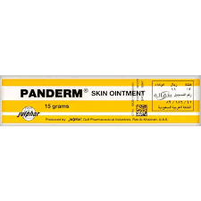 PANDERM OINT 15 G