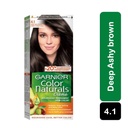غارنييه صبغة الشعر ناتشورالز 4.1