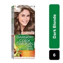 GARNIER TUBE DARK BLONDE 6