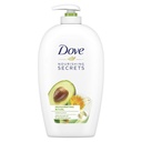 DOVE HAND WASH INVIGORATING RITUAL 500 ML 