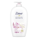 DOVE HAND WASH GLOWING RITUAL LOTUS 500 ML