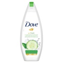 DOVE B-WASH CUC GREEN TEA FRESH TOUCH 250 ML