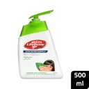 LIFEBUOY HAND WASH NATURE 500ML