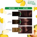 GARNIER COLOR NATURAL CREAM 6.7 CHOCOL BROWN