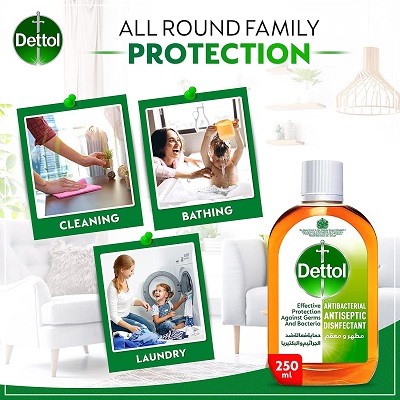 DETTOL LIQUID ANTISEPTIC 250 ML