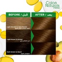 GARNIER LIGHT GOLDEN BROWN 5.3