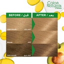 GARNIER TUBE LIGHT BLONDE 8