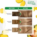 GARNIER COLOR NATURALS  8.11 DEEP ASHY LIGHT BLOND