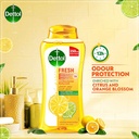 DETTOL BODY WASH FRESH 250ML 2+1 FREE