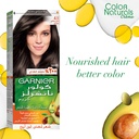 GARNIER NATURALS ASHY BROWN 4.1 