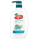 LIFEBUOY BODY WASH  SEA MINERAL 700 ML 