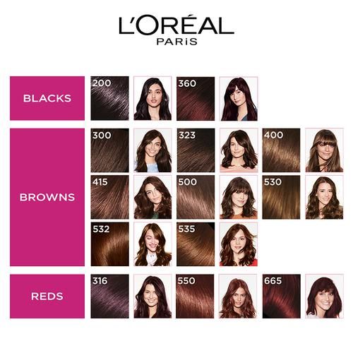 LOREAL CASTING CR/GLOSS 200 EBONY BLACK  KIT