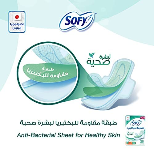 SOFY  ANTI BACTERIAL HEALTHY SKIN 29 CM 12 X 10 PA