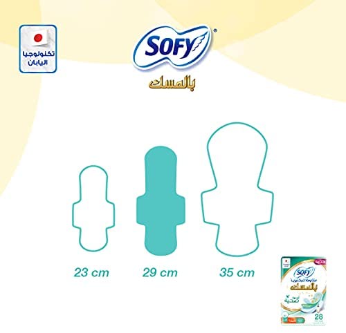 SOFY  ANTI BACTERIAL HEALTHY SKIN 29 CM 12 X 10 PA