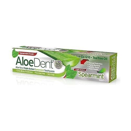 ALOE DENT SPEARMINT T/P 100 ML