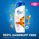 HEAD & SHOULDERS SHAMPOO ANTI HAIR FALL 600ML