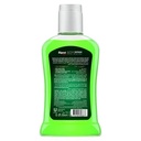 ACTIVE MOUTH WASH 250 ML 