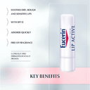 EUCERIN SENSITIVE SKIN  LIP ACTIVE 4.8 G