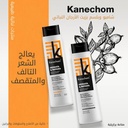 kanechom Argan Conditioner 350 ml