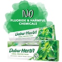 DABUR HERBAL BASIL T / P 150 G + T / B FREE