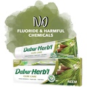 DABUR HERBAL NEEM T / P 150 G + T / B FREE