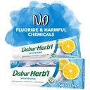 DABUR HERBAL WHITENING T / P 150 G + T / B FREE