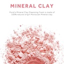 PONDS BRIGHT MINERAL CLAY 90G