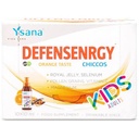 DEFENSENRGY KIDS DRINKABLE VIAL 10*10 ML