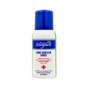 ELEGANT HAND SANITIZER SPRAY 100 ML 