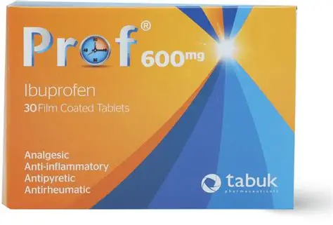 PROF 600 MG 30 TAB