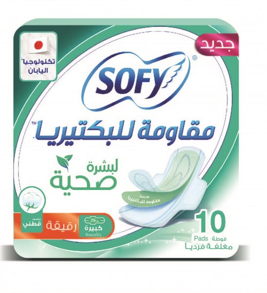 SOFY  ANTI BACTERIAL HEALTHY SKIN 29 CM 10 Pad 1 Pack